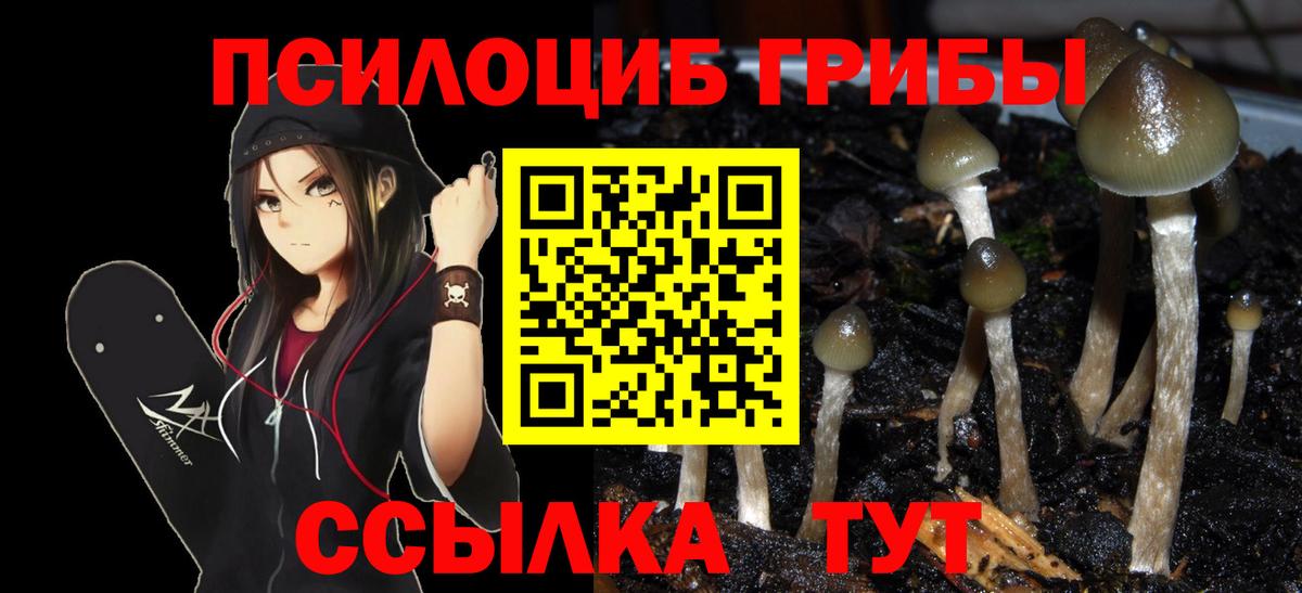 Псилоцибиновые грибы ЛСД Надым