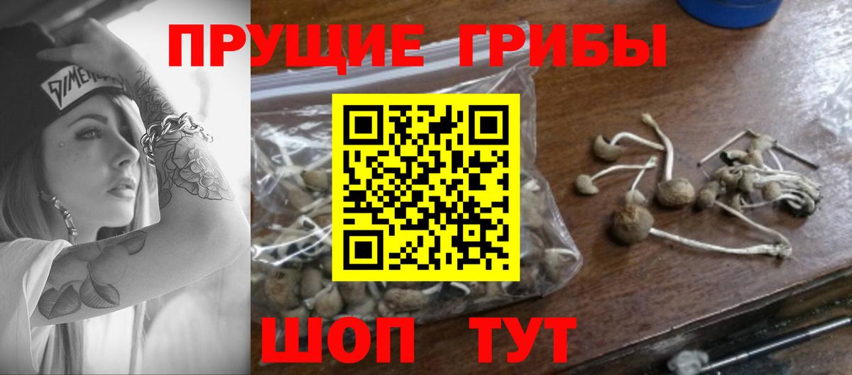 Галлюциногенные грибы ЛСД  Вход с VPN  Надым 