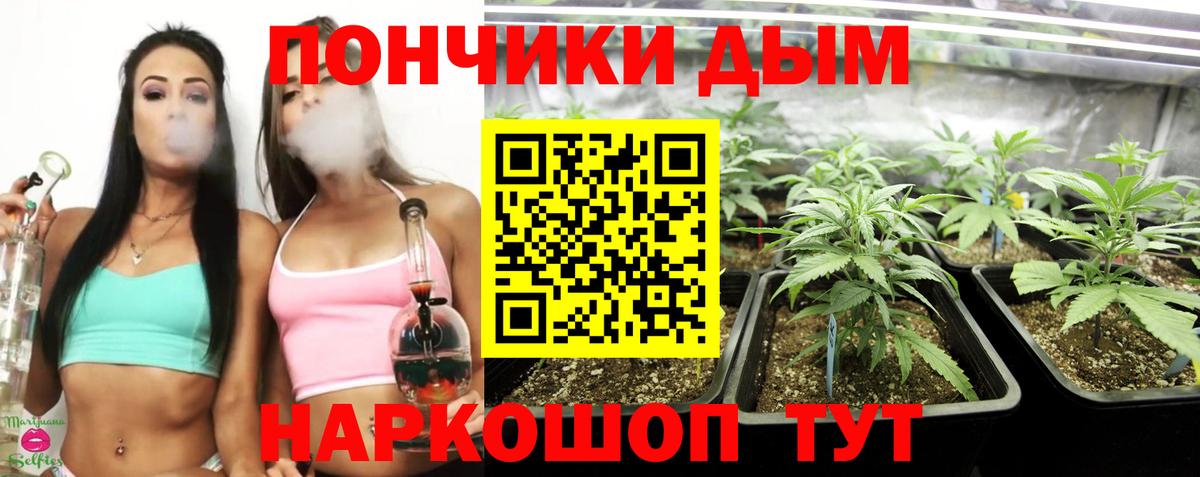 Канабис планчик Надым